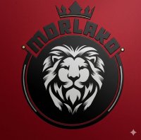 MORLAKO AUTO PARTS LLC logo